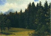 Albert Bierstadt Greater San Francisco Area (Mountain Glade and Mountain Resort) oil on canvas